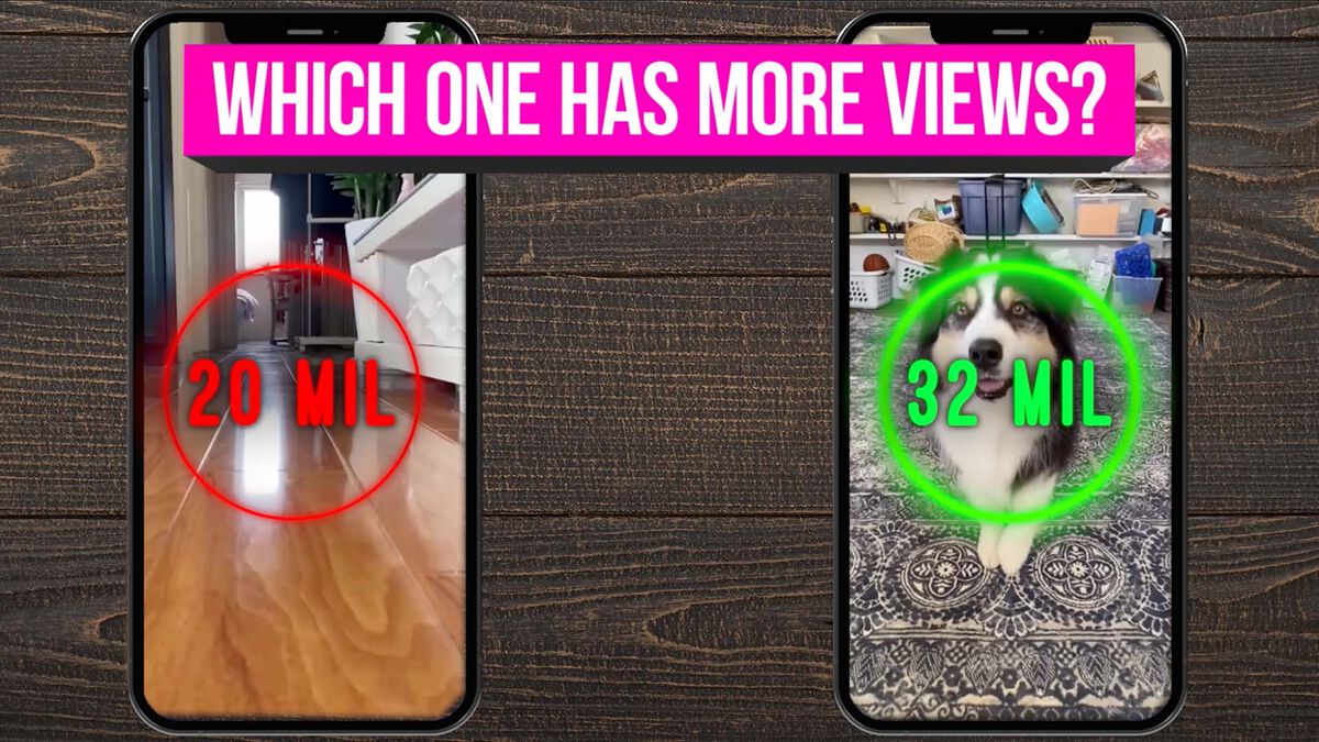TikTok Tussle 4 image number null